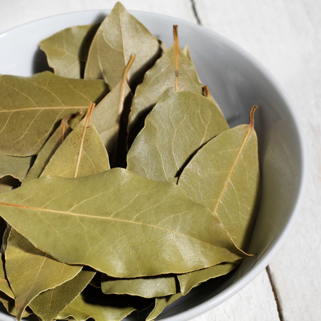 Bayleaf - Kanelträdets blad